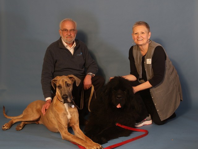 COMFORCARE SENIOR SERVICES